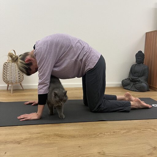 eBook-Cover Mobbing? Nicht mit mir! Dein Weg zu Stärke und Respekt